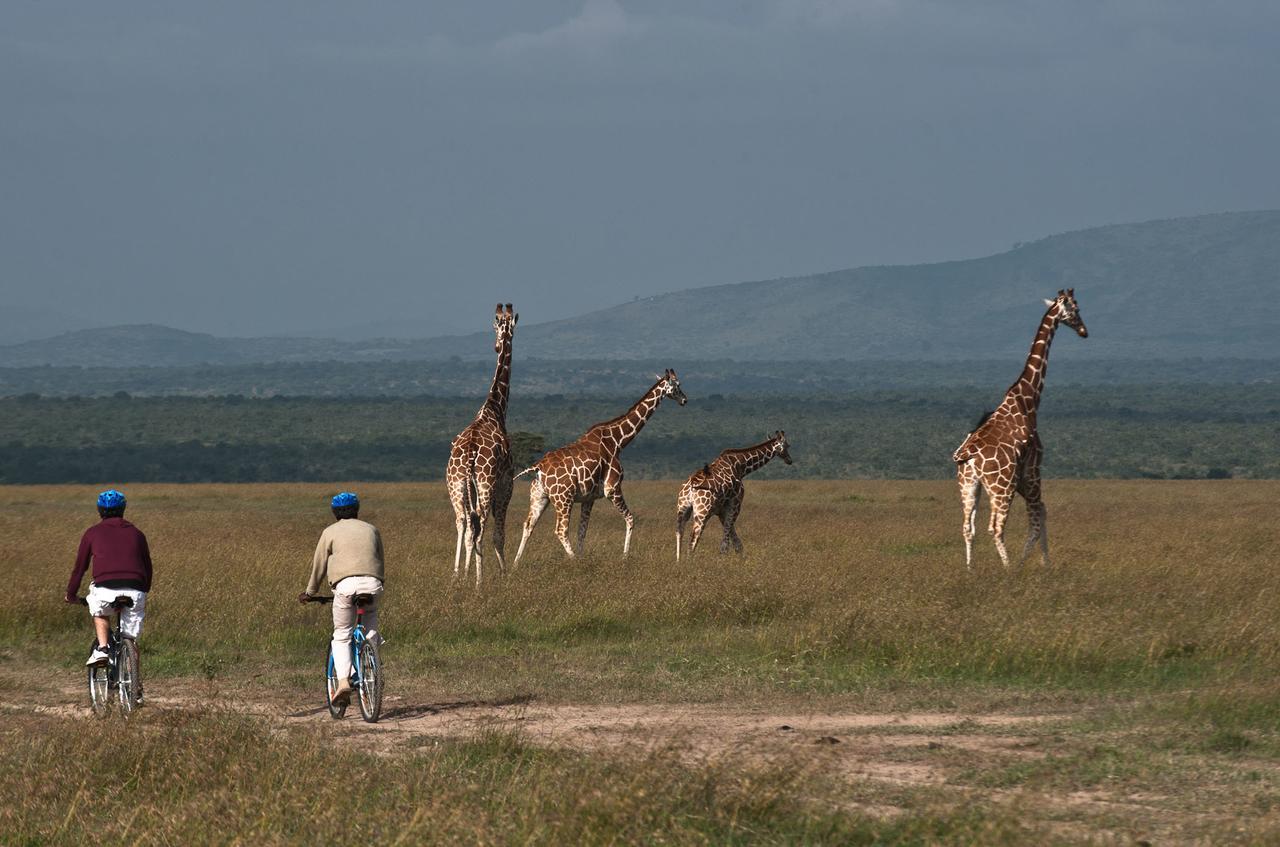 Kicheche Laikipia Camp Villa Ol Pejeta Conservancy Exterior photo